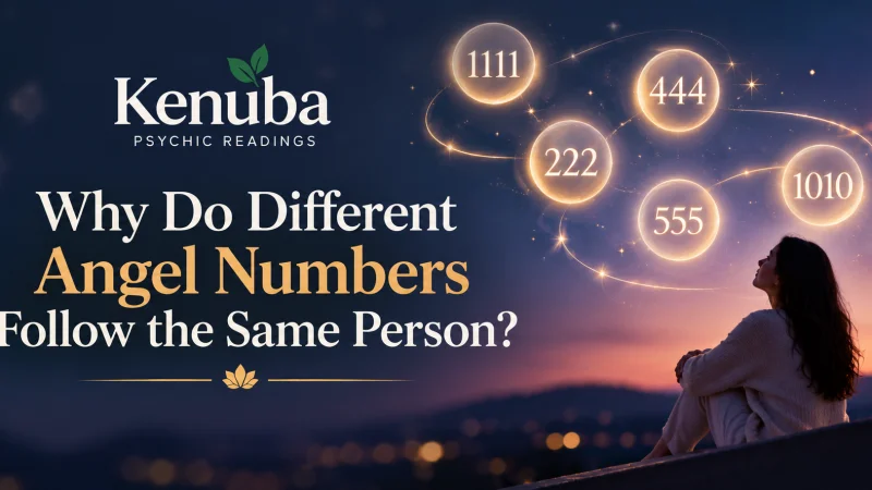 Why Do Different Angel Numbers Follow the Same Person?